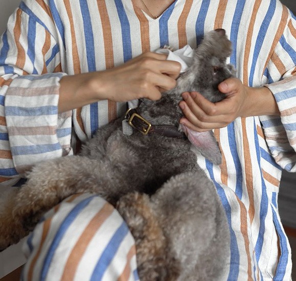 歯磨きもちゃんとしています