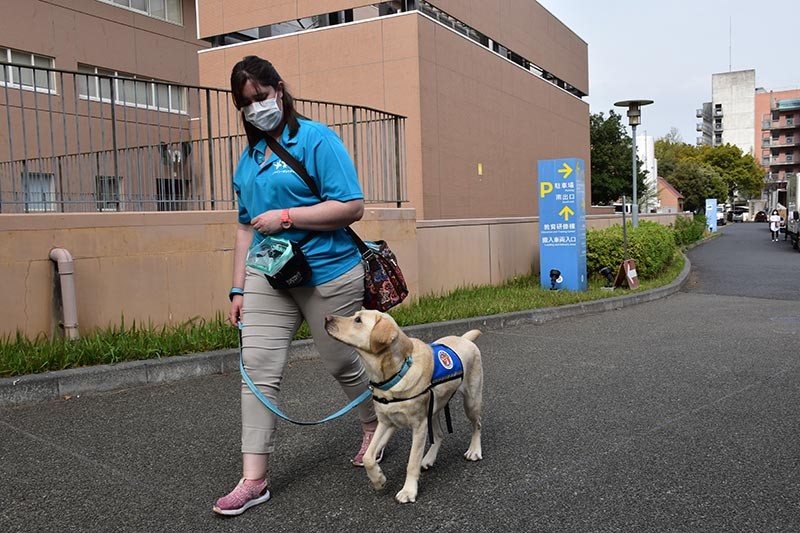 ファシリティドッグのトレーニング中。育成を担ったのは、ドッグトレーナーのマリーナ・ロドリゲスさん