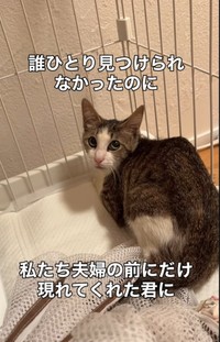 保護初日は飲まず食わずだったが…（「こたとつーちゃんと時々おたま」さん提供、Instagramよりキャプチャ撮影）
