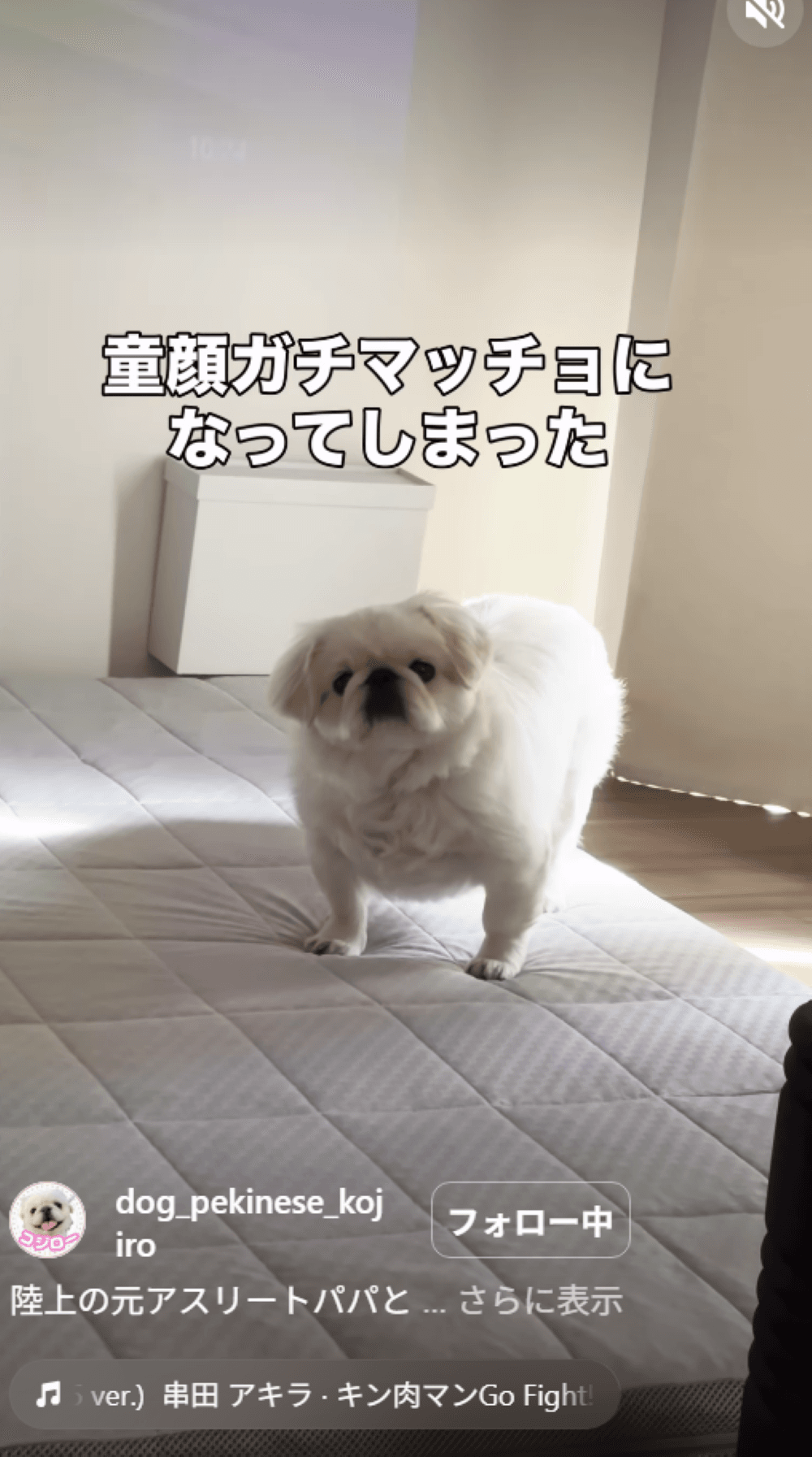 なんか、ゴツくない…？