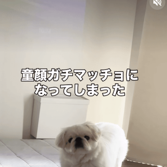 なんか、ゴツくない…？