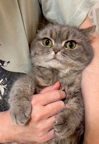 抱っこされてきょとんとするひまりちゃん（画像提供：亀ぽまさん）