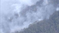 山火事の現場　午前11時ごろ