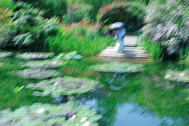 Monet's Garden in Japan looking more like one of his masterpieces