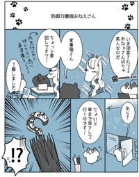 【漫画】『防御力最強おねえさん』1（家事猫さん提供）