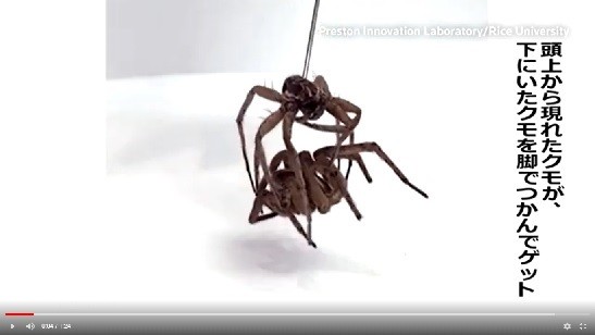 まるでUFOキャッチャーだ（ロイター）