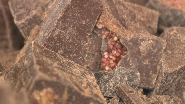 SUNNYSIDE FIELDS／クラフトチョコレート