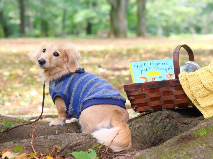 首元にバンダナでカッコよく！