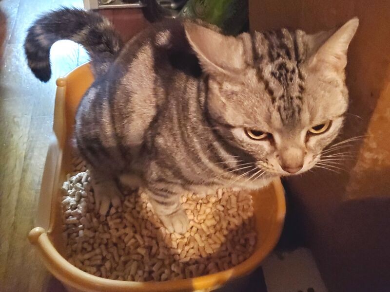 「今ちょうど、したかったの」すぐ入りました