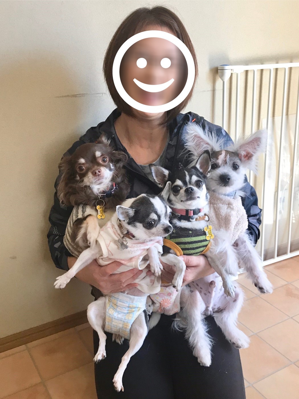 ミックス 犬 失敗 画像