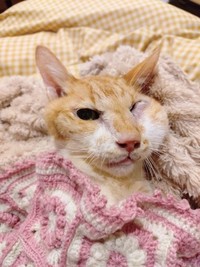 亡くなる前の様子