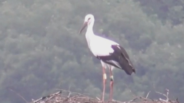 6月28日　提供：まんのう町
