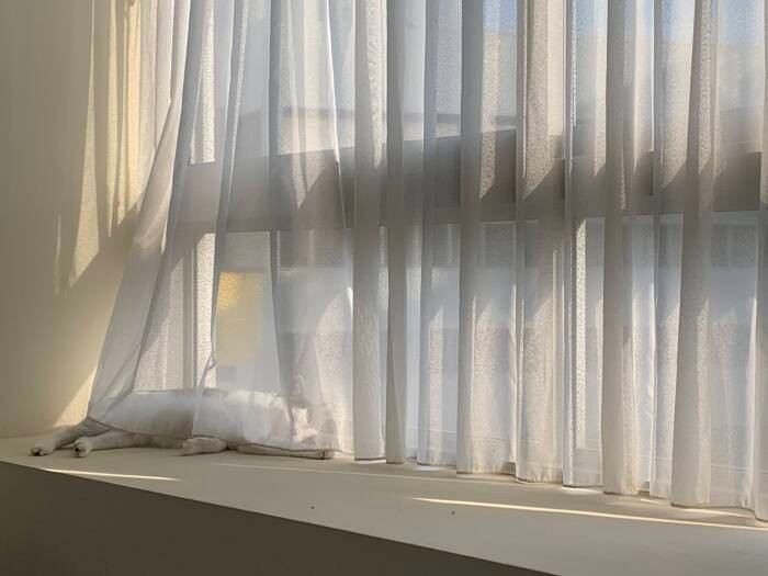 すぐに見つけたお気に入りの窓辺（晴美さんの夫提供）