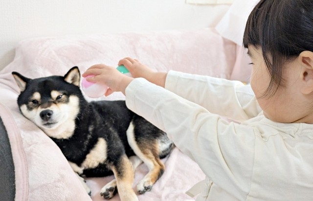 「ポケモンゲットだぜ！」つむちゃんに報告されてきょとん顔のおはぎくん（画像提供：おはぎさん）