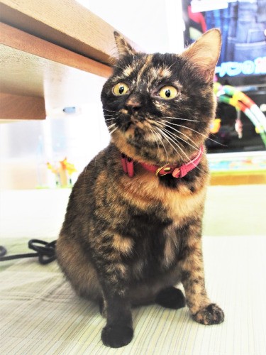 天真爛漫なサビーヌは誰をも受け入れる