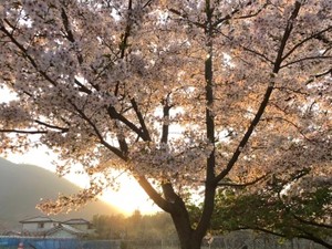 藤巻亮太の旅是好日　数え切れないくらい歌ってきた「3月9日」はそのたびに、新しい