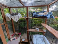 左上：くまくん、右上：ふくちゃん、左下：てんちゃん（提供：犬と猫と下僕さん）