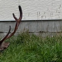 出勤のタイミングでバッタリ…！（提供：mrock722139さん）