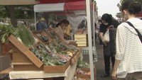 4カ月ぶりに開催した「さぬきマルシェ」