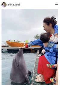 新井恵理那のインスタグラム＠elina_araiより