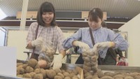 北海道産野菜の詰め放題を初開催 天満屋岡山店 (岡山･北区)