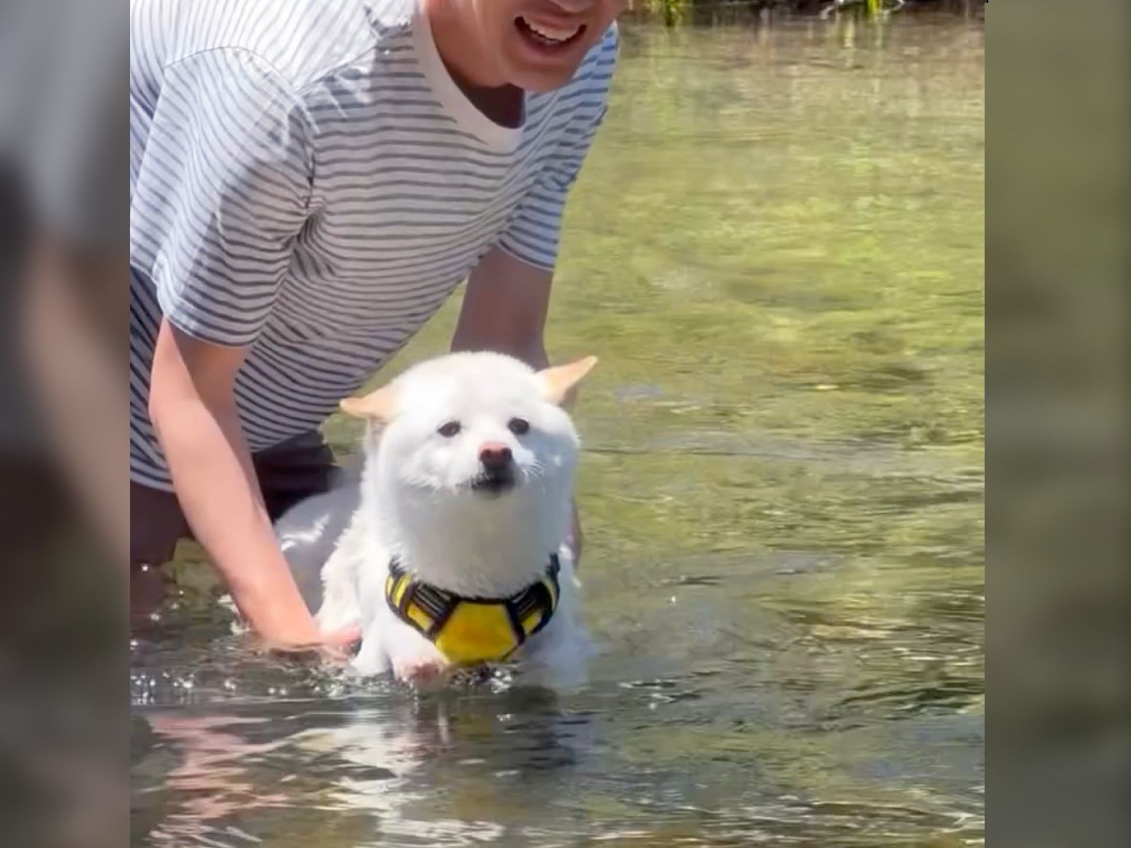 絶対可愛いやつ！」SWIMMER×サンリオコラボ 日焼けキティ＆ウサハナも