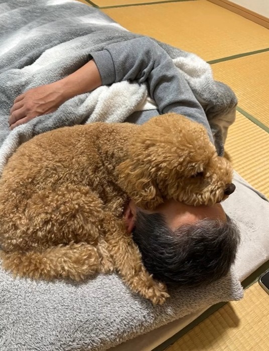 こんな感じでのっかってます…お父さんが大好き！（飼い主さん提供、Instagramよりキャプチャ撮影）