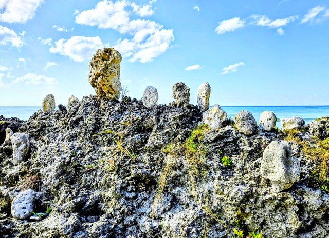 海岸にはサンゴも多く見られるのだとか／okinawanlifeさん（@akemi74rocks）提供
