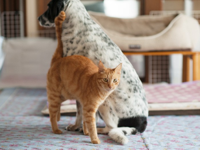 「僕とアネラは仲がいいんだ」（小林写函撮影）