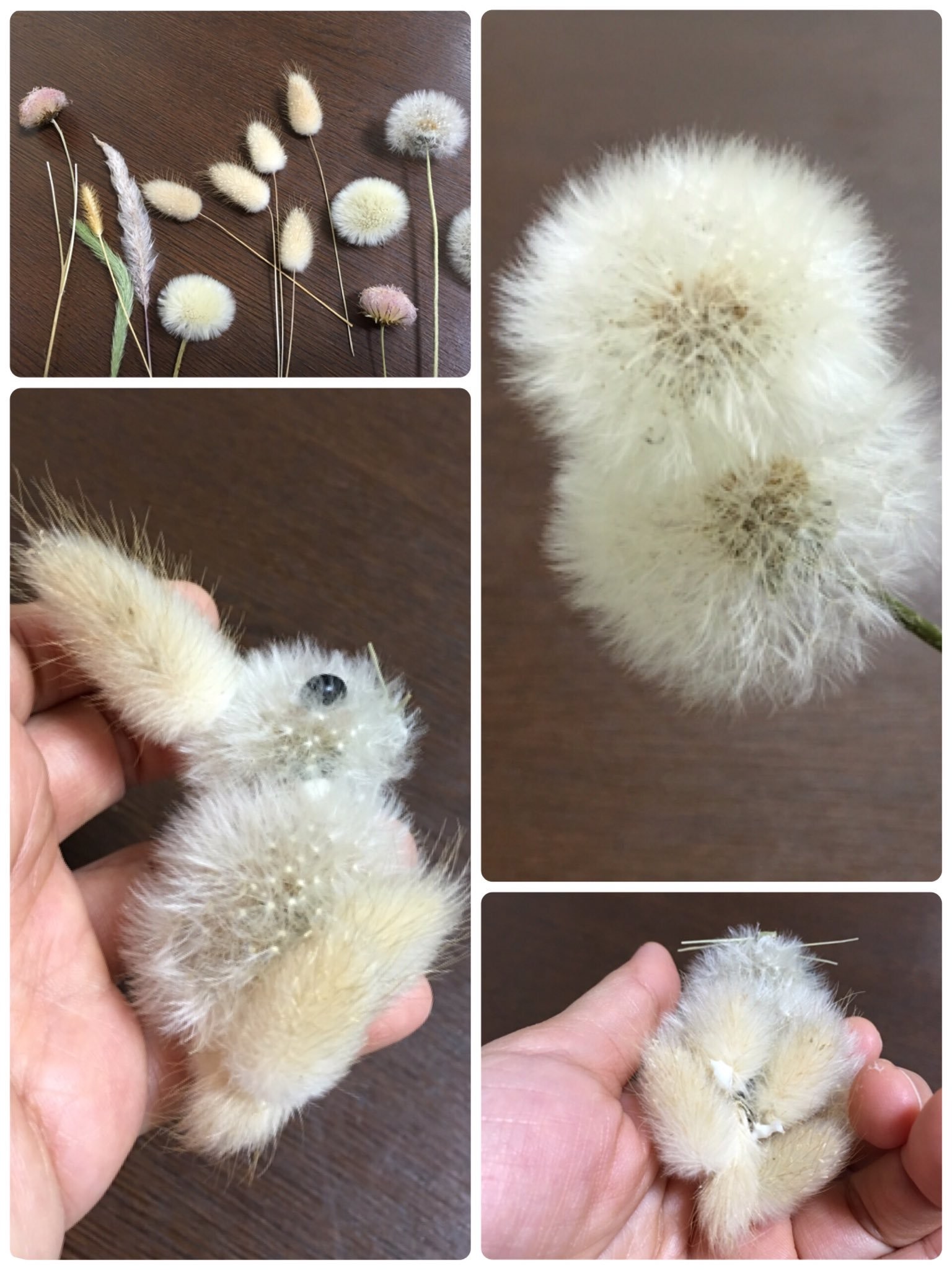 胸がキュンとなる」ふわふわウサギ 主婦がタンポポの綿毛で作っていた