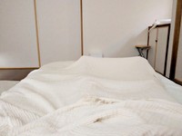 検証1日目。右の棚上で眠るあきらちゃん。みのるちゃんはカウチソファの下に（画像提供：emy@保護猫とレオパと平屋一人暮らし）
