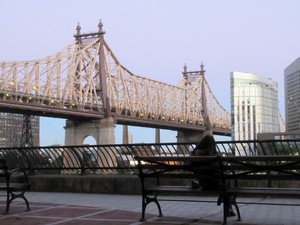 12月7日に生まれて　夢ふくらませ、あこがれた自由の国アメリカはどこに