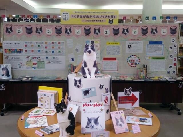 猫ノ図書館での展示