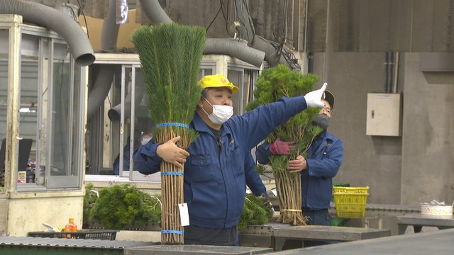 迎春準備　市場で“松”の競り　岡山
