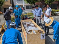 開封。しっかり梱包されています