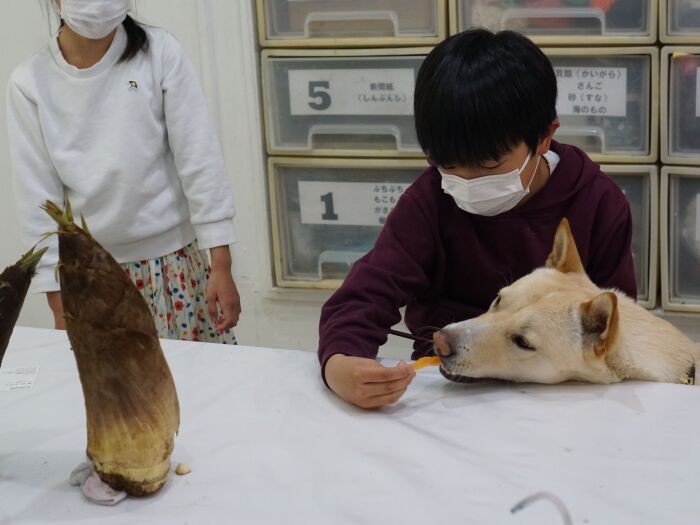 小学生の男の子からおやつをもらっています。「ぱくぱく」