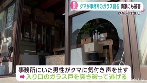 クマが住宅兼事務所で目撃される　けが人は無し　宮城・栗原市