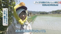 アイガモ農法で稲を育てる／小北雅子さん