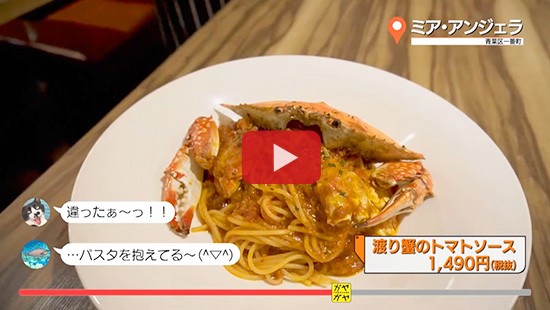 #205ミア・アンジェラ②