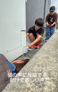 給湯器の中へ逃げ込んだ子猫の救出を試みる代表の赤石朔さん（「NPO法人子猫園ベルソーデシャトンズ」さん提供、Instagramよりキャプチャ撮影）