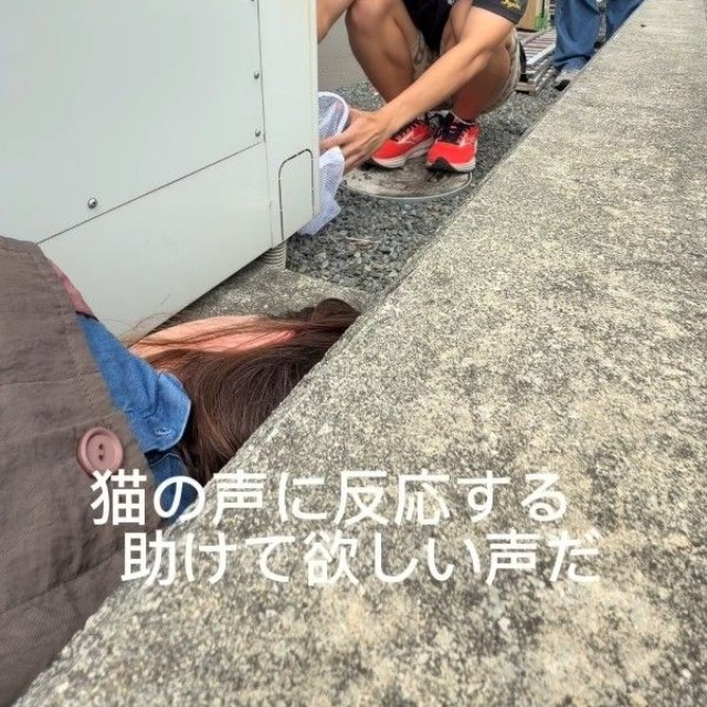 給湯器の中へ逃げ込んだ子猫の救出を試みる代表の赤石朔さん（「NPO法人子猫園ベルソーデシャトンズ」さん提供、Instagramよりキャプチャ撮影）