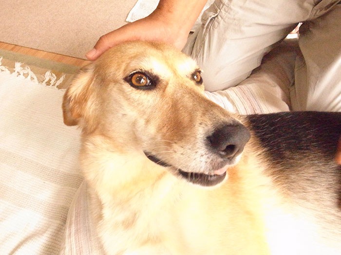 純真無垢な澄んだ瞳