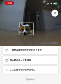 ルンバが障害物として検知したニックくん（画像提供：紫月さん）