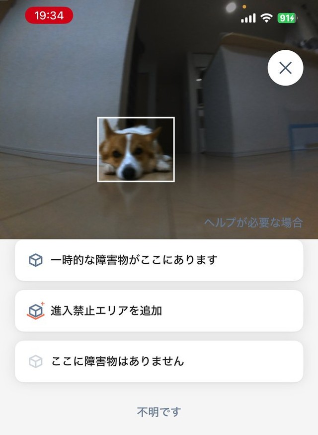 ルンバが障害物として検知したニックくん（画像提供：紫月さん）