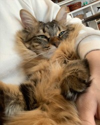 お互いあったかいにゃ＝ema_to_friendsさん提供