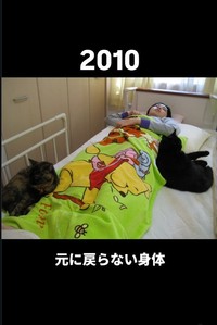 入院中、あゆむさんに猫たちが寄り添っていた…（あゆむさん提供、Instagramよりキャプチャ撮影）