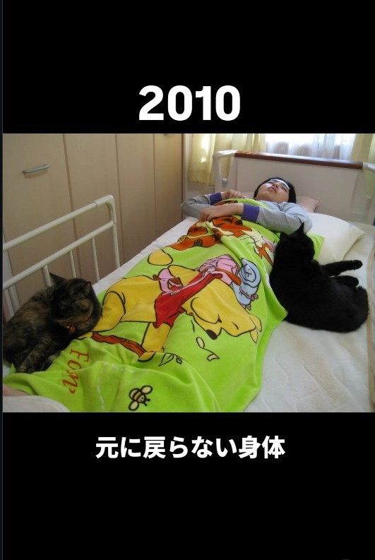 入院中、あゆむさんに猫たちが寄り添っていた…（あゆむさん提供、Instagramよりキャプチャ撮影）