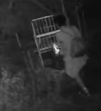 有害鳥獣駆除用「箱ワナ」の防犯カメラに映っていた不審者。「箱ワナ」の扉に足をかけ、駆除を妨害し始めた（動画からキャプチャー／提供：とある県下の猟友会さん）