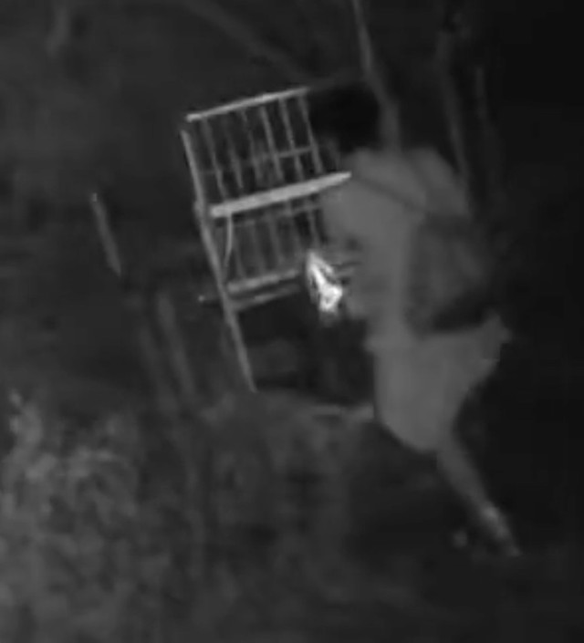 有害鳥獣駆除用「箱ワナ」の防犯カメラに映っていた不審者。「箱ワナ」の扉に足をかけ、駆除を妨害し始めた（動画からキャプチャー／提供：とある県下の猟友会さん）