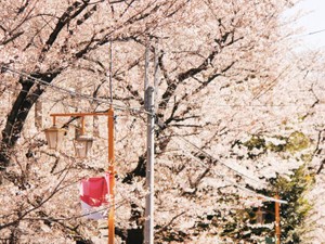 死にたがりのわたしが、明日も生きていたいと思える恋をするまで